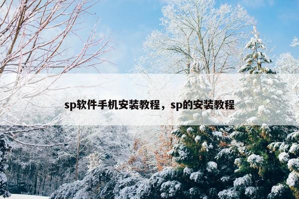 sp软件手机安装教程，sp的安装教程