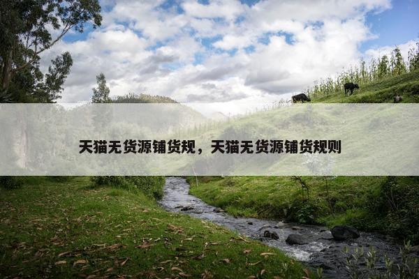 天猫无货源铺货规，天猫无货源铺货规则