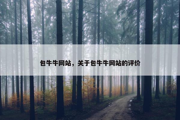 包牛牛网站，关于包牛牛网站的评价