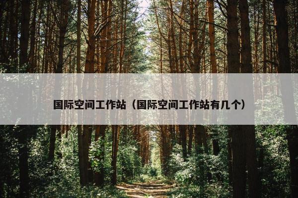 国际空间工作站（国际空间工作站有几个）