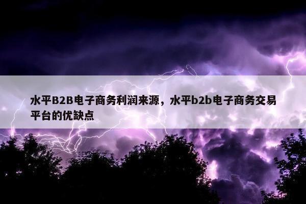 水平B2B电子商务利润来源，水平b2b电子商务交易平台的优缺点