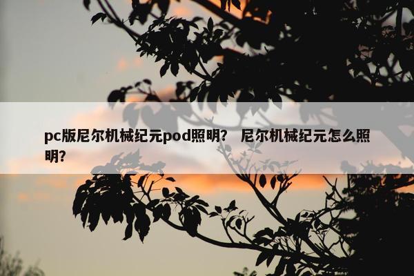 pc版尼尔机械纪元pod照明？ 尼尔机械纪元怎么照明？
