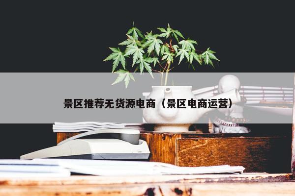景区推荐无货源电商（景区电商运营）