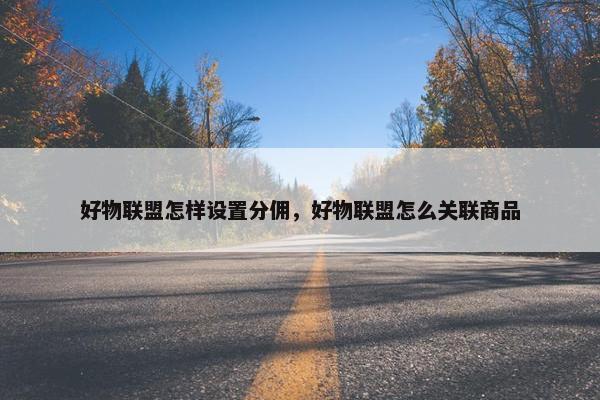 好物联盟怎样设置分佣，好物联盟怎么关联商品