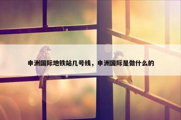 申洲国际地铁站几号线，申洲国际是做什么的