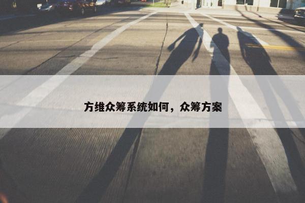 方维众筹系统如何，众筹方案