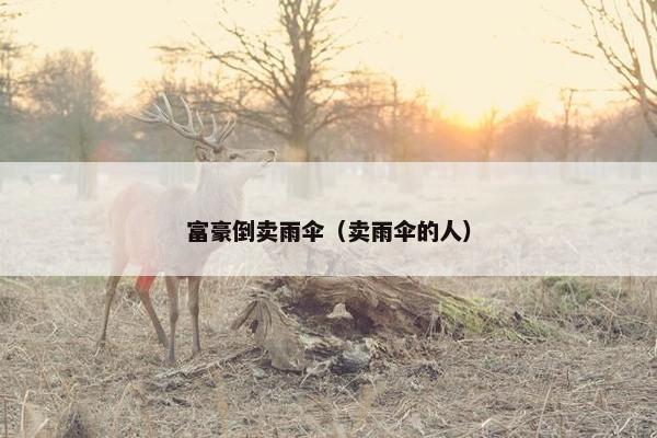 富豪倒卖雨伞（卖雨伞的人）