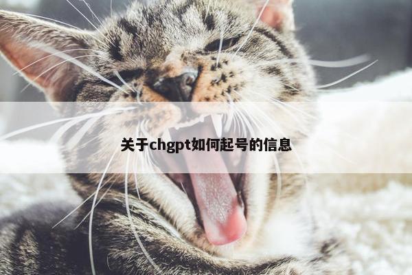 关于chgpt如何起号的信息