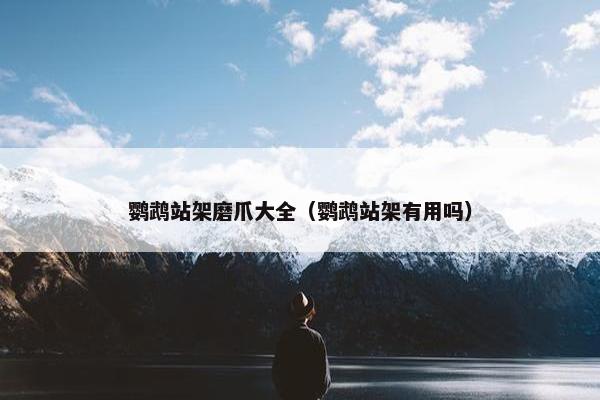 鹦鹉站架磨爪大全（鹦鹉站架有用吗）