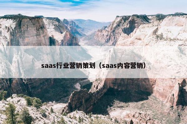 saas行业营销策划（saas内容营销）