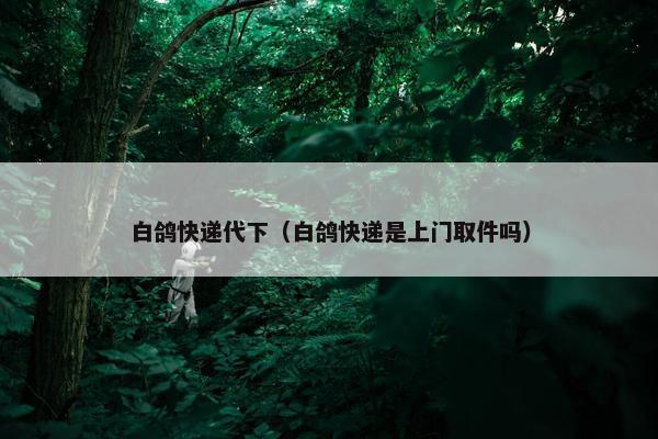白鸽快递代下（白鸽快递是上门取件吗）