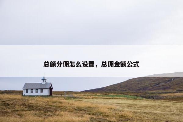 总额分佣怎么设置，总佣金额公式