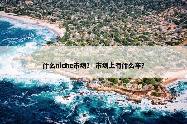 什么niche市场？ 市场上有什么车？