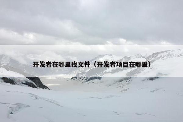 开发者在哪里找文件（开发者项目在哪里）