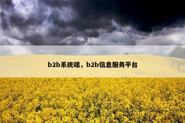 b2b系统端，b2b信息服务平台
