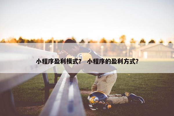 小程序盈利模式？ 小程序的盈利方式？