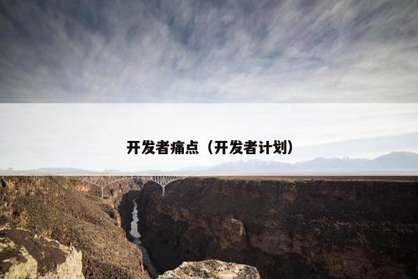 开发者痛点（开发者计划）