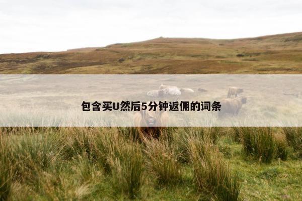 包含买U然后5分钟返佣的词条