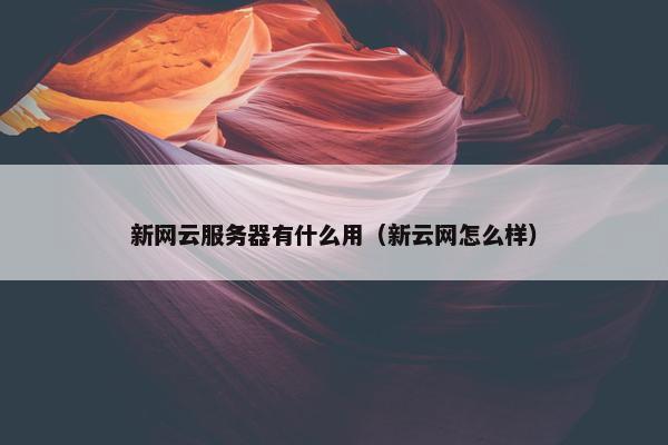 新网云服务器有什么用（新云网怎么样）