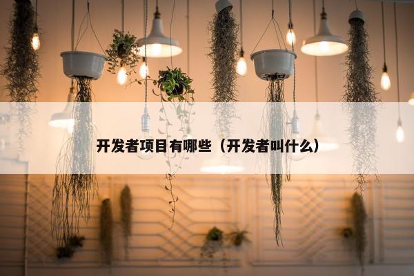 开发者项目有哪些（开发者叫什么）