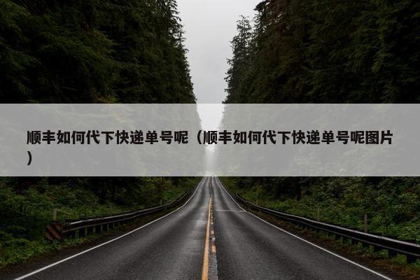 顺丰如何代下快递单号呢（顺丰如何代下快递单号呢图片）
