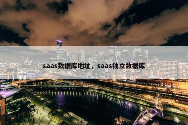 saas数据库地址，saas独立数据库