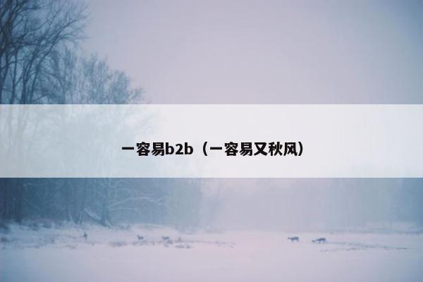 一容易b2b（一容易又秋风）