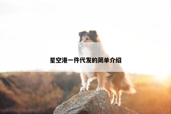 星空港一件代发的简单介绍