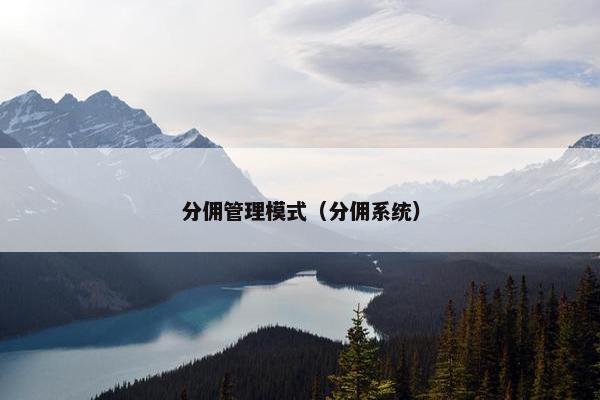 分佣管理模式（分佣系统）