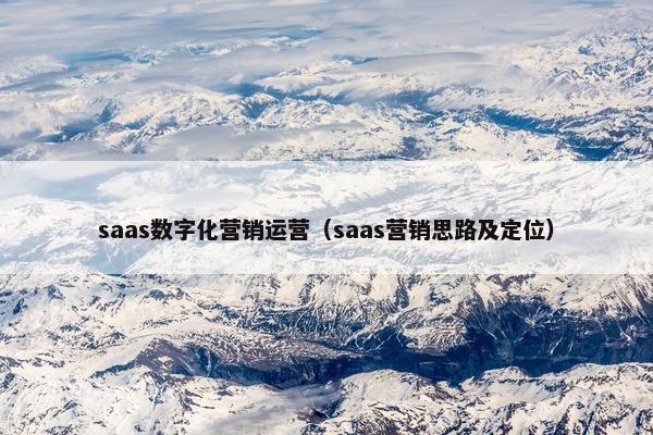 saas数字化营销运营（saas营销思路及定位）