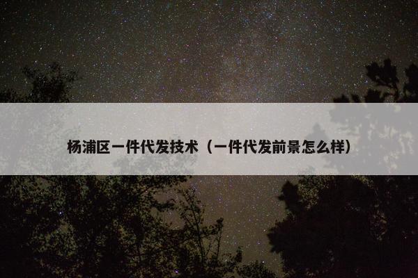 杨浦区一件代发技术（一件代发前景怎么样）