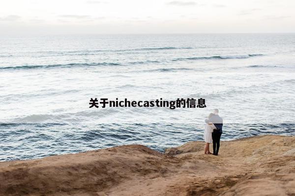 关于nichecasting的信息