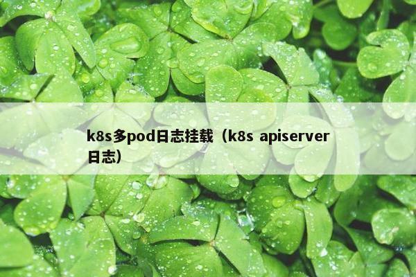 k8s多pod日志挂载（k8s apiserver日志）