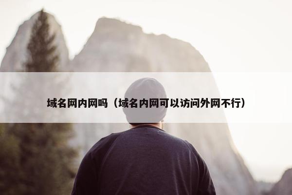 域名网内网吗（域名内网可以访问外网不行）