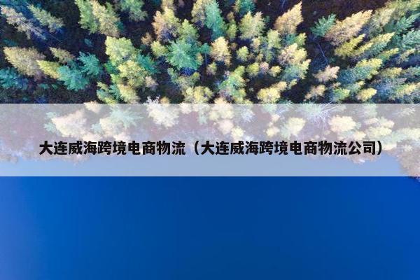 大连威海跨境电商物流（大连威海跨境电商物流公司）