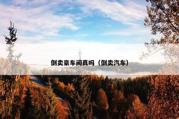 倒卖豪车间真吗（倒卖汽车）