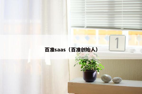 百准saas（百准创始人）
