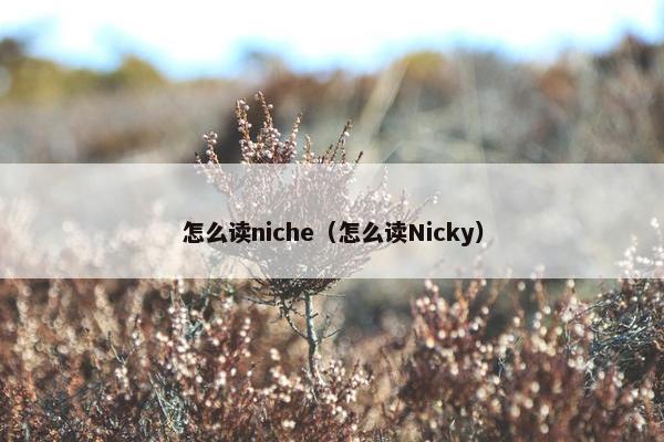 怎么读niche（怎么读Nicky）