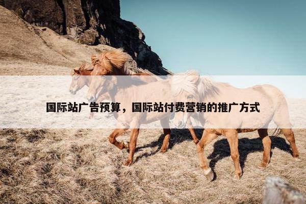 国际站广告预算，国际站付费营销的推广方式