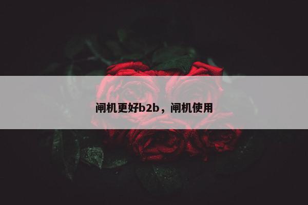 闸机更好b2b，闸机使用