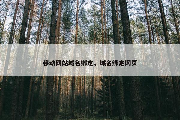 移动网站域名绑定，域名绑定网页