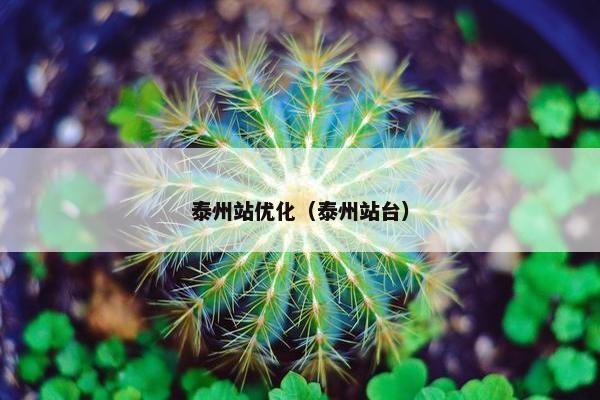泰州站优化（泰州站台）