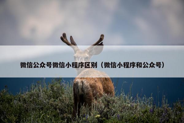 微信公众号微信小程序区别（微信小程序和公众号）