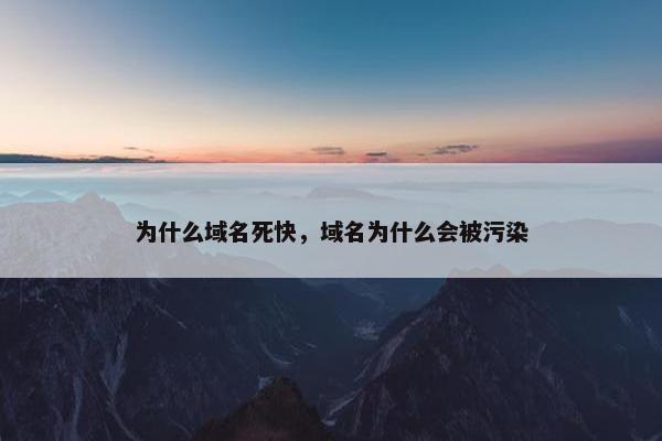 为什么域名死快，域名为什么会被污染