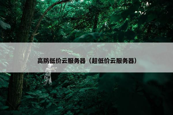 高防低价云服务器（超低价云服务器）
