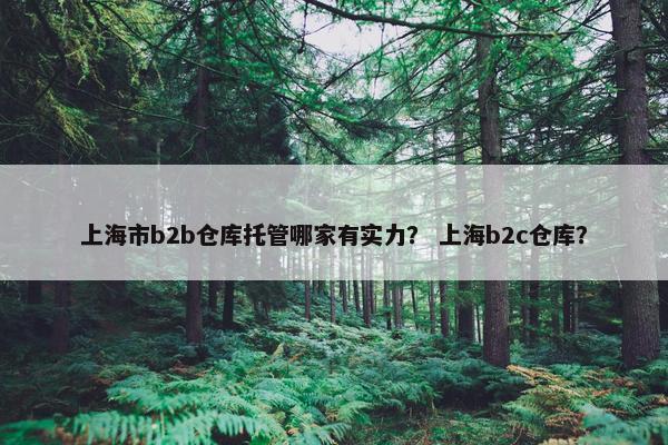 上海市b2b仓库托管哪家有实力？ 上海b2c仓库？