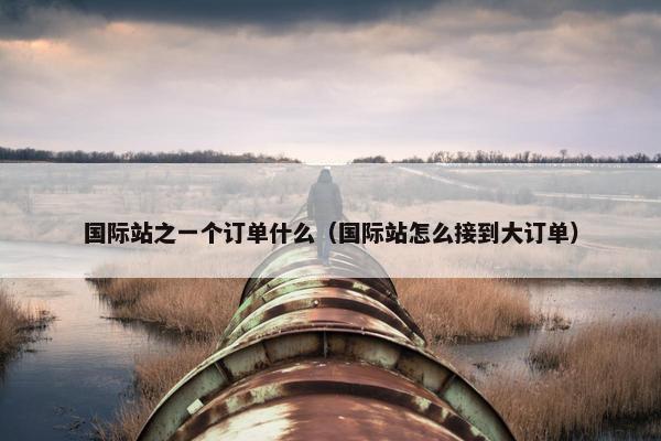 国际站之一个订单什么（国际站怎么接到大订单）