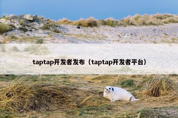 taptap开发者发布（taptap开发者平台）