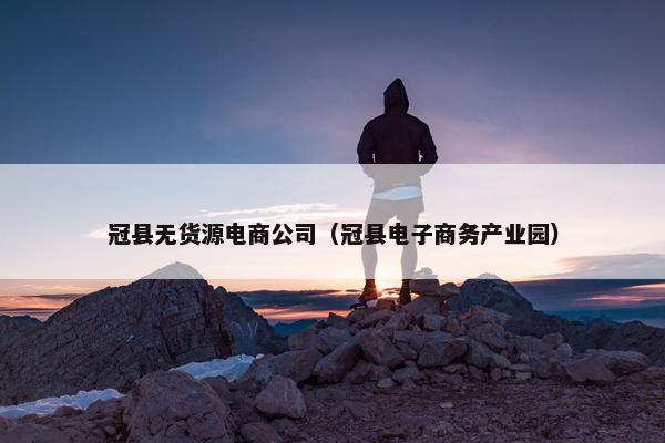 冠县无货源电商公司（冠县电子商务产业园）