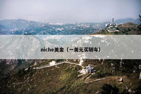 niche美金（一美元买轿车）